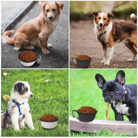 Hank Pet Bowl