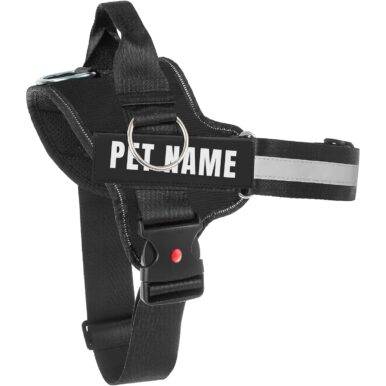 Dog Harness Black