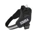Black Harness