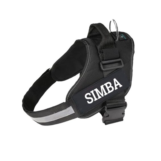 Black Harness