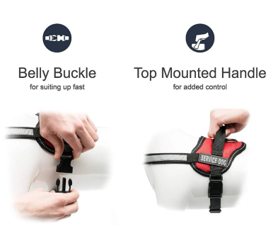 Dog Harness