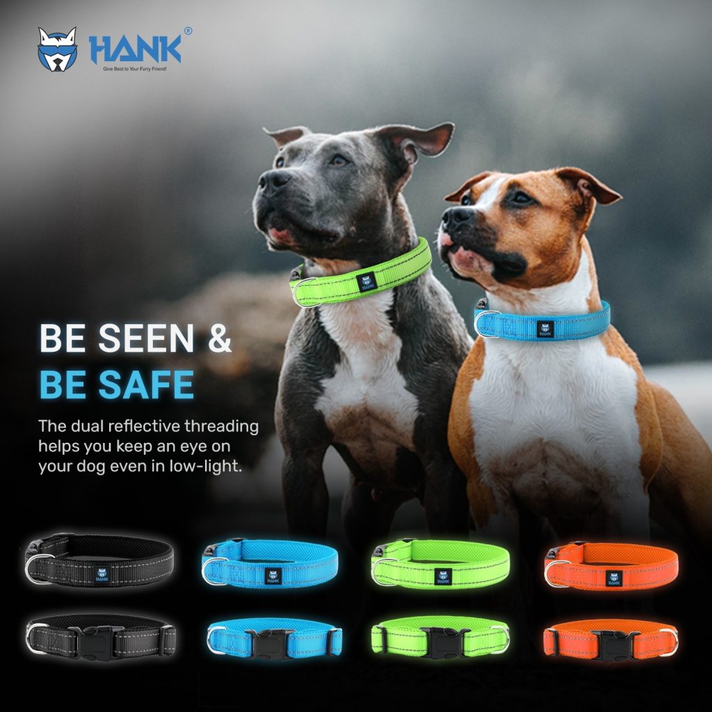 Hank-dog-reflective-Collar (2)