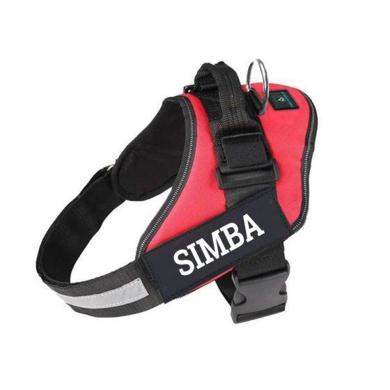 RED dog harness