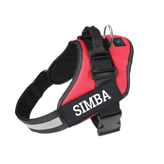 RED dog harness