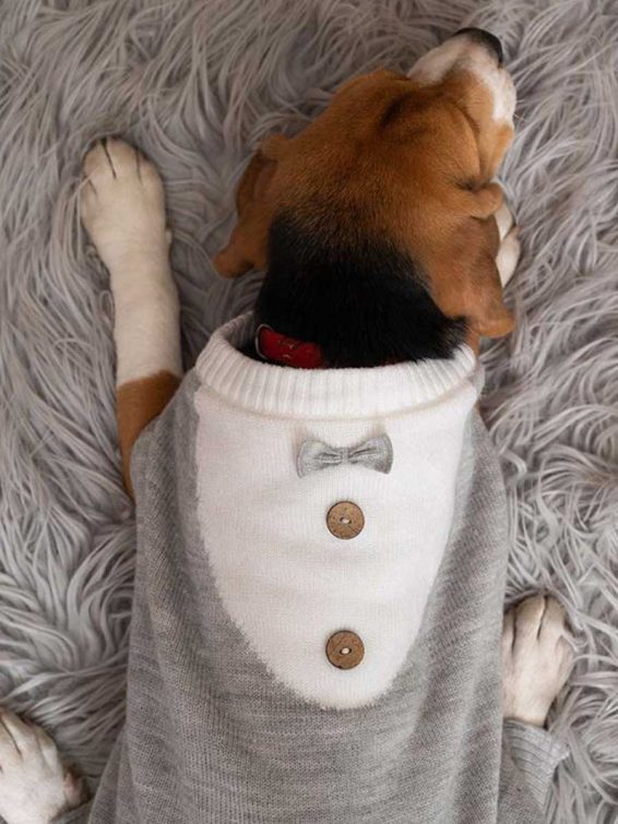 Pet Sweater - HANK