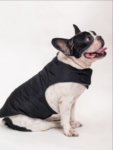 Hank-Winter-Flex-jacket