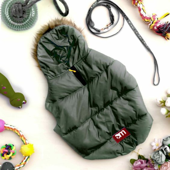 Winter Dog Jacket Green - HANK