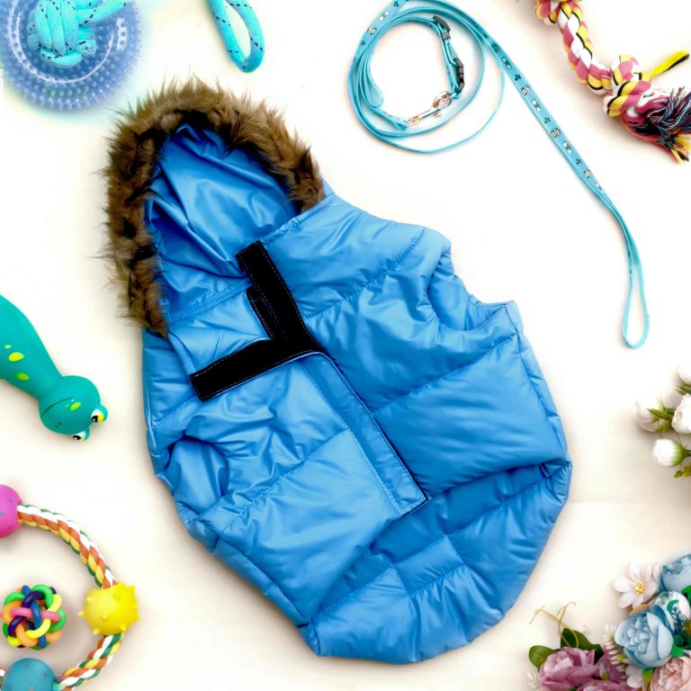 Dog Jacket Blue