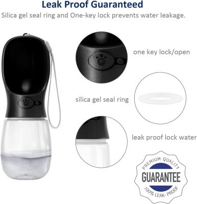 Pet Water Bottle - Hank