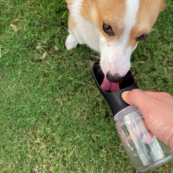 Hank Pet Water Bottle