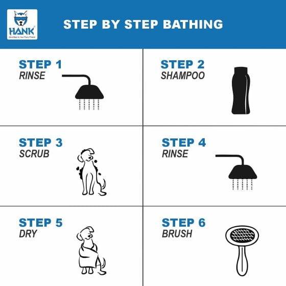How to Use Pet Shampoo