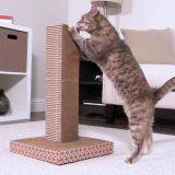 Cat Scratcher Tower