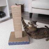 Cat Scratcher Tower