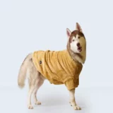 Brown Dog Winter Clothes