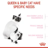 Royal Canin Mother & Babycat Cat Dry Food