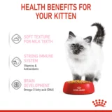 Royal Canin Kitten Jelly Cat Wet Food