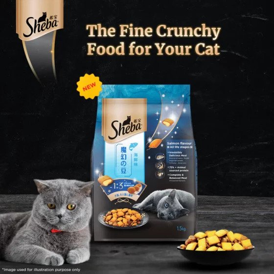 Sheba Salmon Flavour Irresistible All Life Stages Cat Dry Food