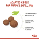 Royal Canin Medium Puppy Dog Dry Food