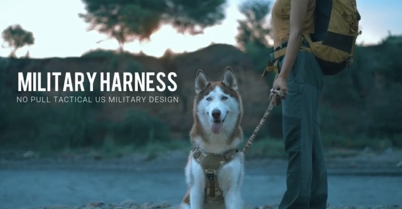 Hank Military dog Harness