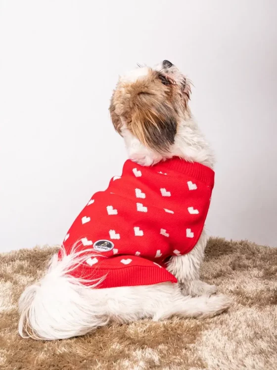 RED HEART SWEATER 1 Petsnugs Red Heart Dog Sweater Suitable For Dogs And Cat