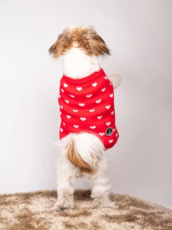 RED HEART DOG SWEATER