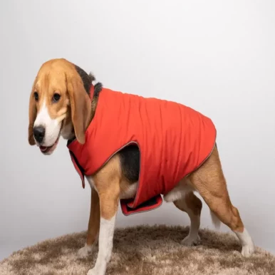 Rust Jacket For Dogs