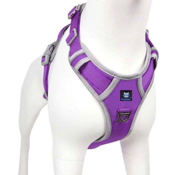 Dog Harness Purple