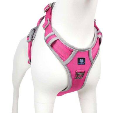 Body belt for dogs