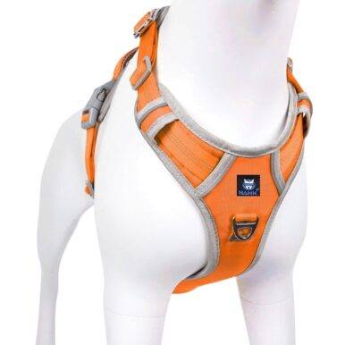 Dog Harness Grey Orange