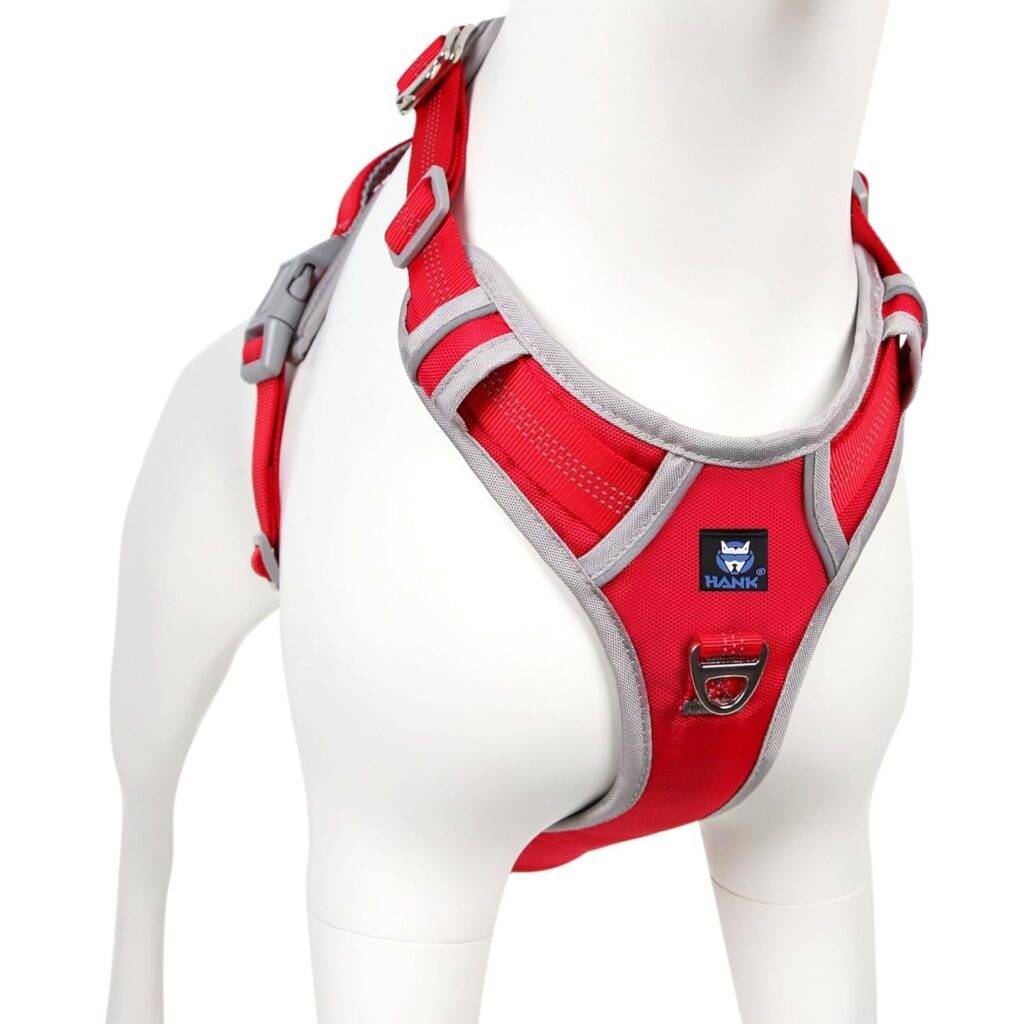 Dog Harness Grey Red