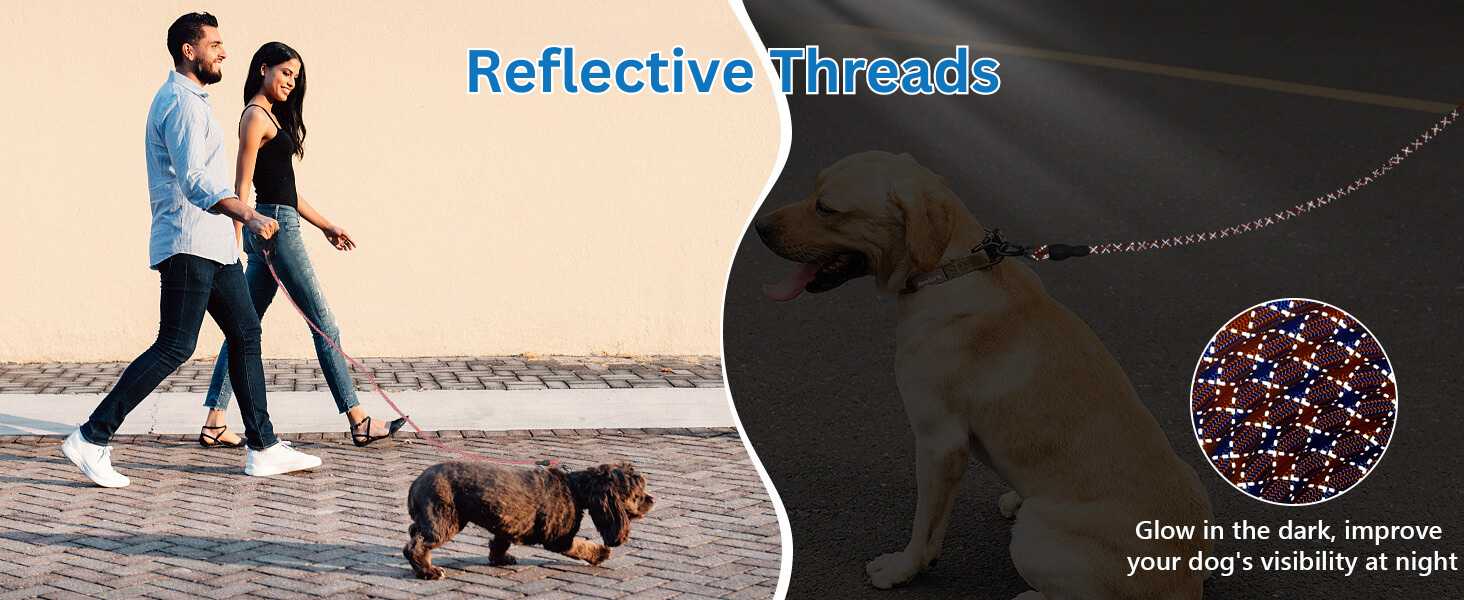Reflective Leash For Dogs