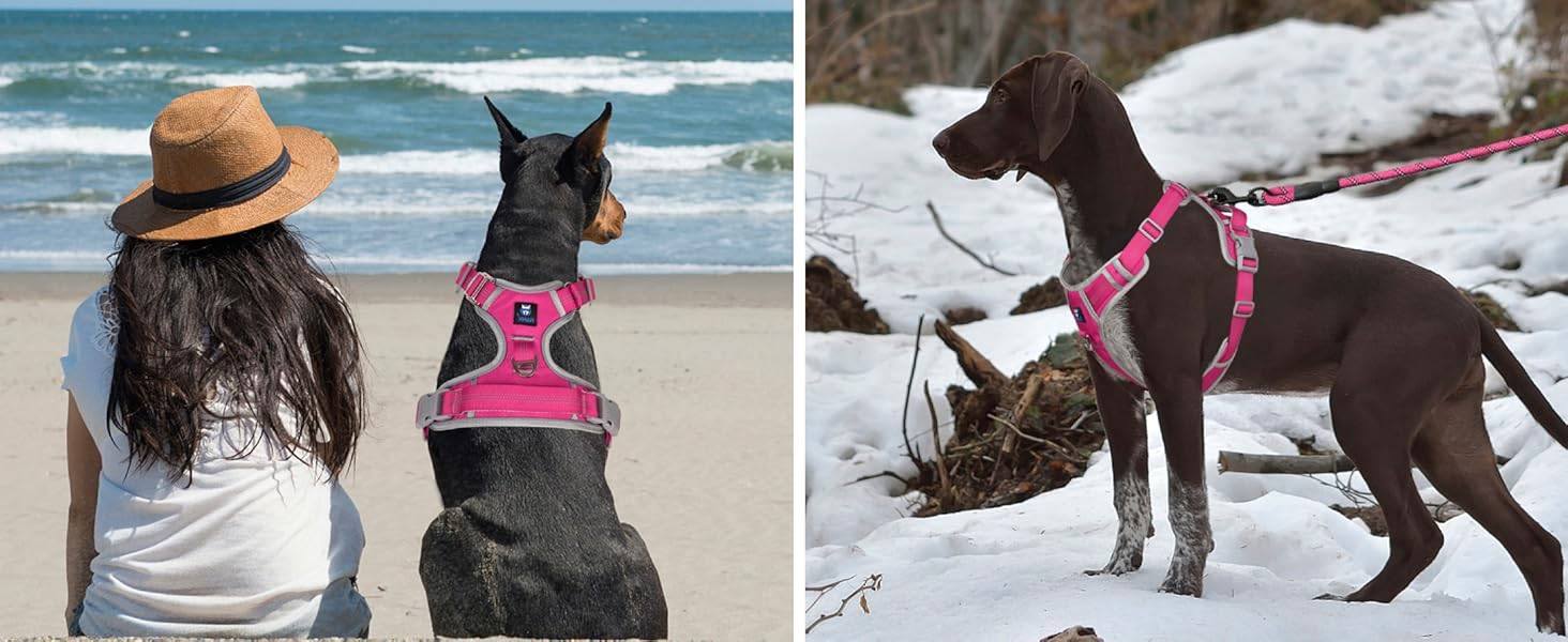Dog Harness Pink