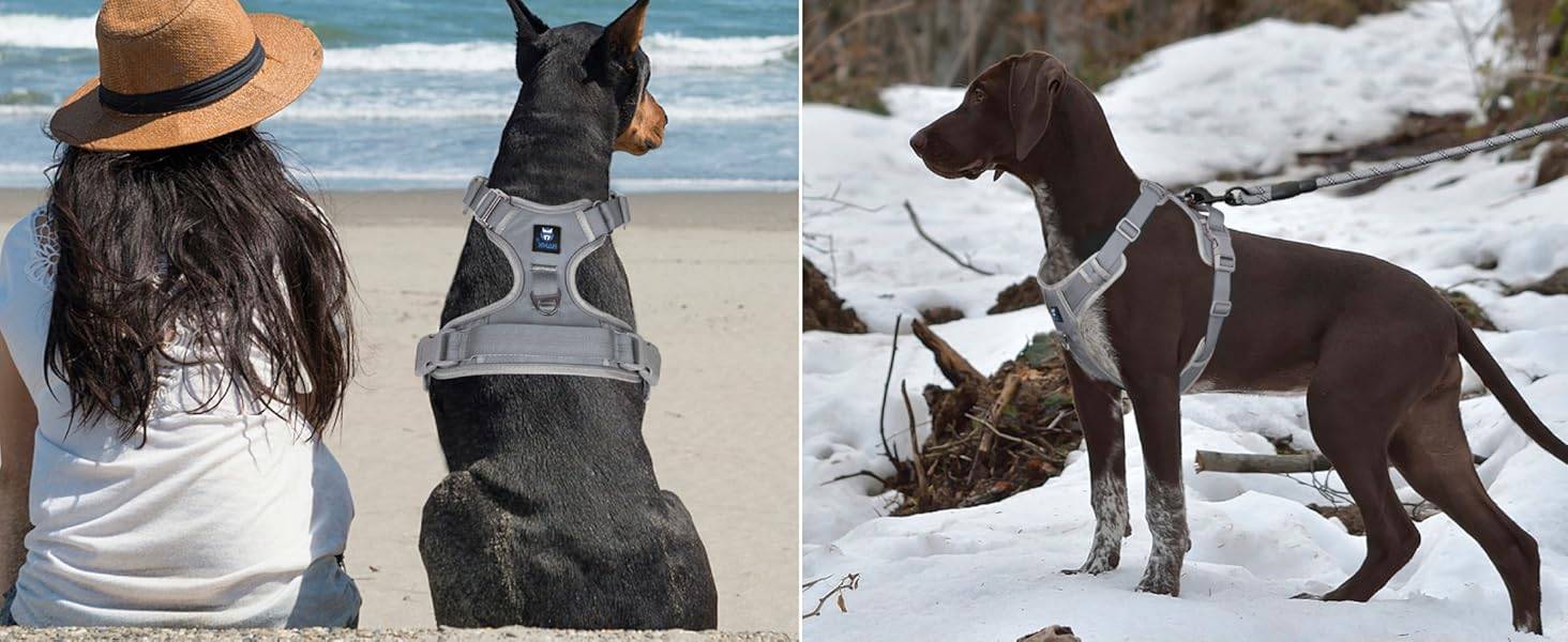 Dog Harness Grey