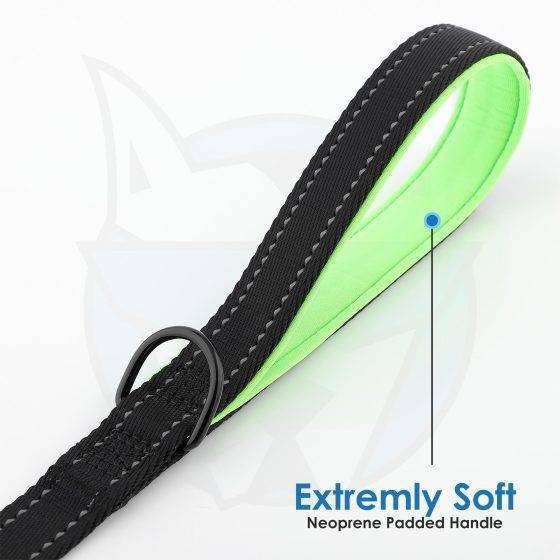 Dog Leash Green