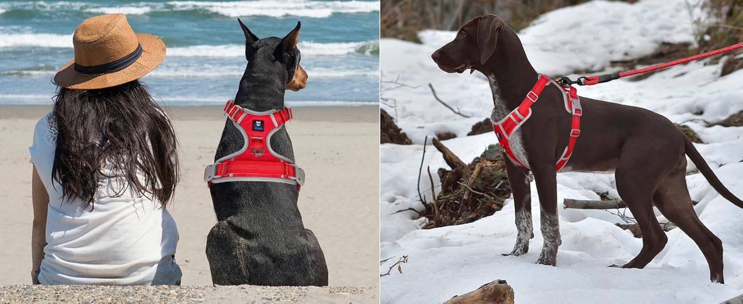 Dog Harness Red