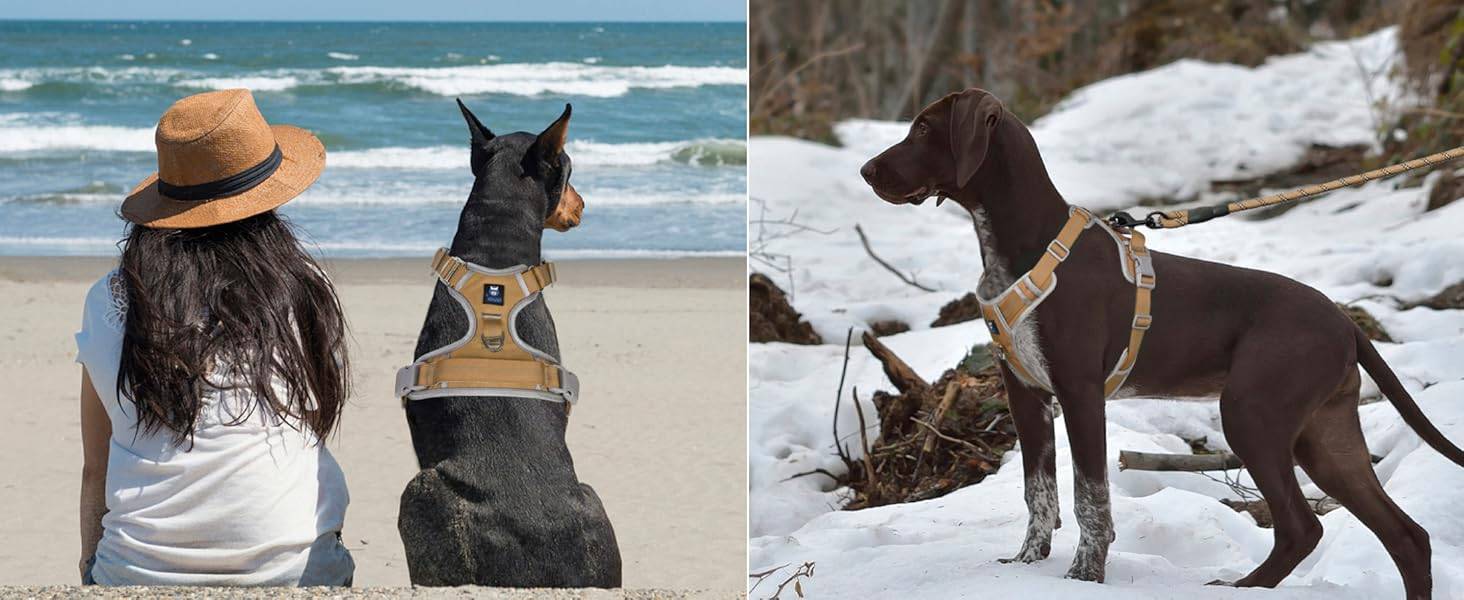 Dog Harness Khaki