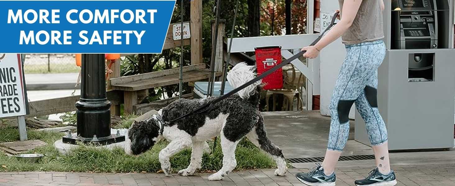 Reflective Leash For Dogs