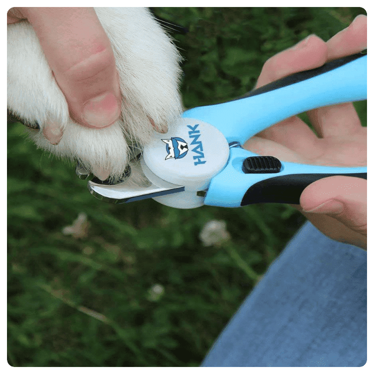 What Should I Choose Dog Nail grinder or Dog Nail Cutter