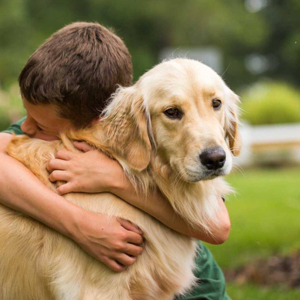 Golden Retriever Suitability for Families