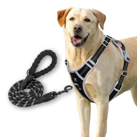 Dog Harness Black Grey Design