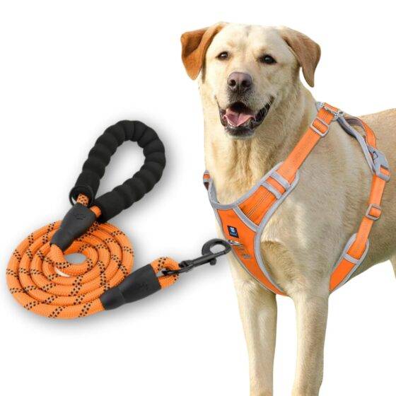 Dog Harness Orange Grey Design