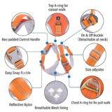 Dog Harness Neon Orange Grey Design Features