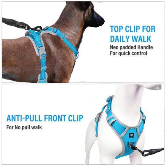 Dog Harness & Leash Cyan Blue Grey Design