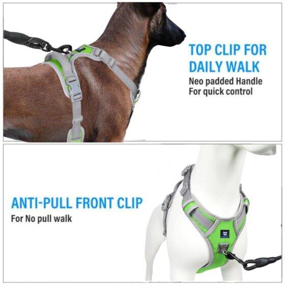 Dog Harness & Leash Neon Green Grey Design