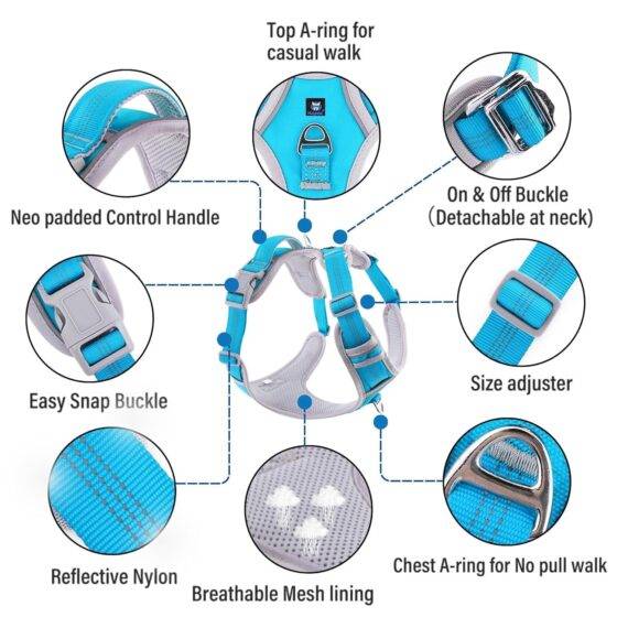 Dog Harness Cyan Blue Grey Design Features