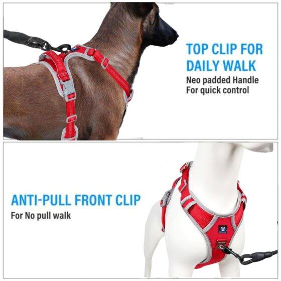 Dog Harness & Leash Red Grey Design