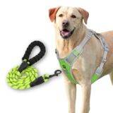 Dog Harness Green Grey Design