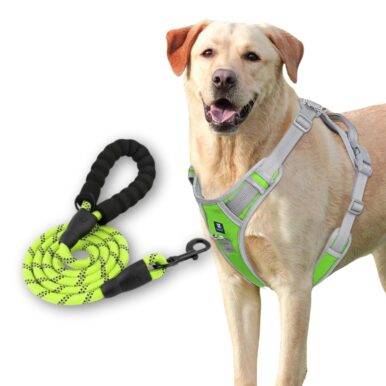 Dog Harness Green Grey Design