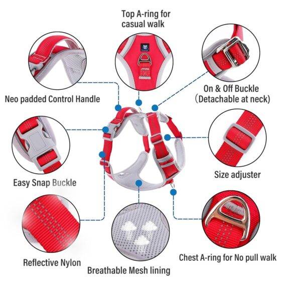 Dog Harness Red Grey Design Features