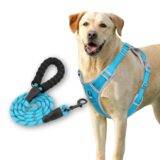 Dog Harness Cyan Blue Grey Design